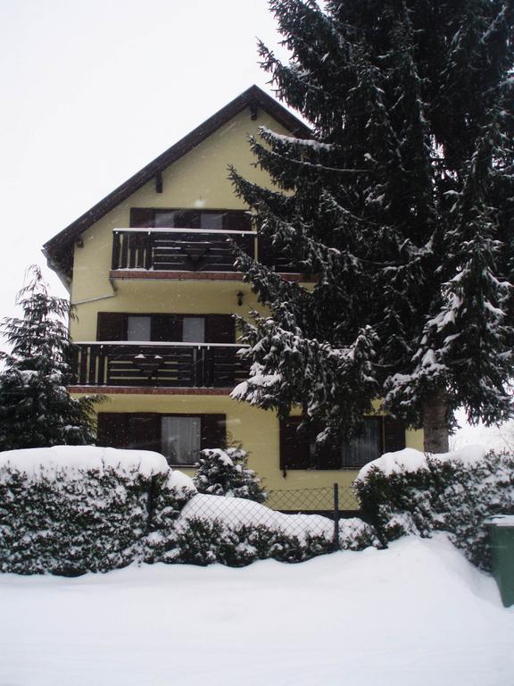 Studio Ivona Rakovica Bilik gambar
